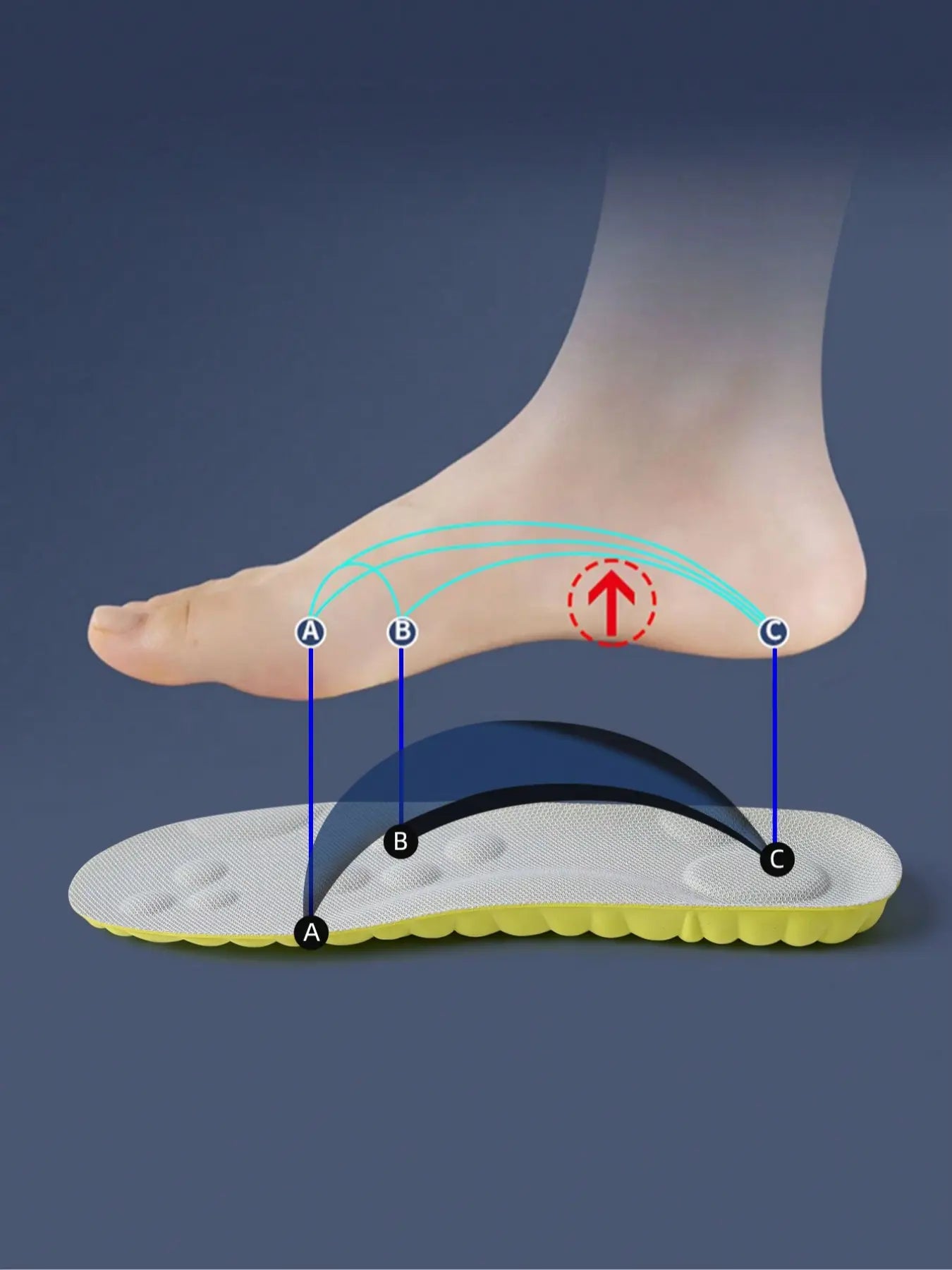 Highly Elastic Breathable Shoe Insoles, Shock-Absorbing Sports Insoles, Anti-Slip Comfortable Shoe Insoles for Men & Women